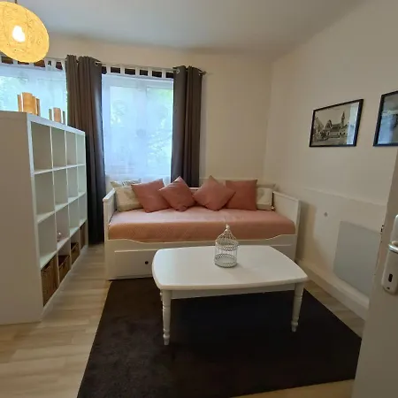 Ferienwohnung Strohblume Rust Extérieur photo
